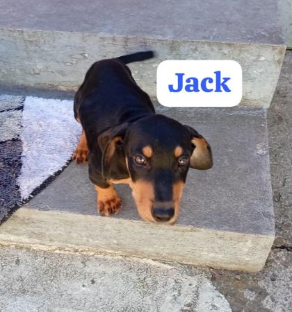Jack