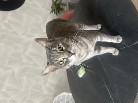 Charlie