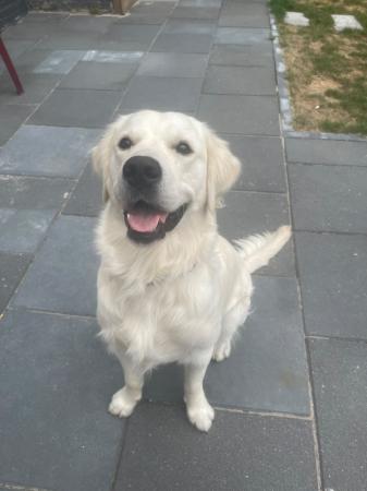 Jax