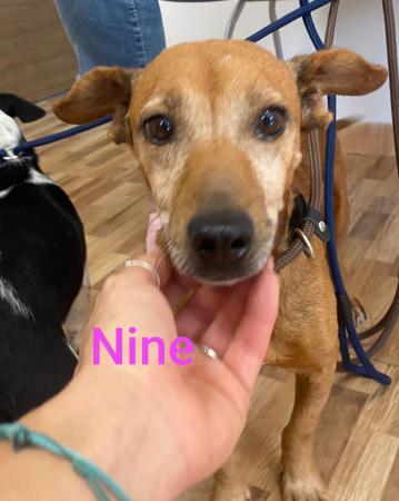 Nine