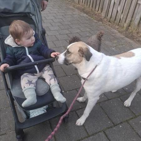 Joep
