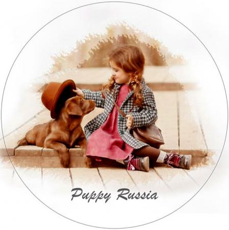 PUPPY RUSSIA.NL